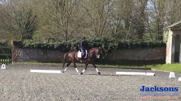 Anna Ross-Davies - How to ride a serpentine
