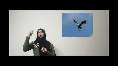 CBSE |Class 5 EVS | Chapter 1| Super Senses Part 1