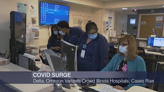 Delta, Omicron Variants Crowd Illinois Hospitals; Cases Rise