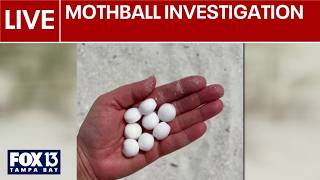 LIVE: FWC update on St. Pete Beach mothball investigation