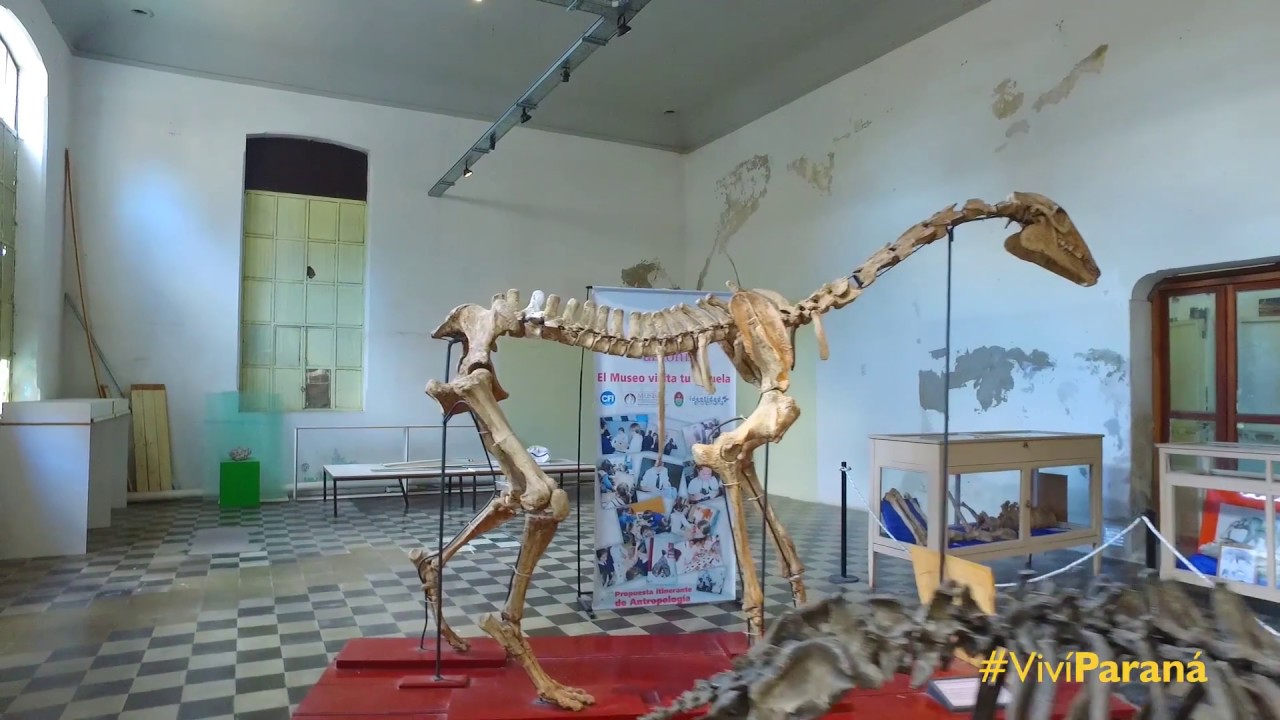 Museo de Ciencias Naturales y Antropológicas “Prof. Antonio Serrano”