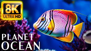 PLANET OCEAN 8K ULTRA HD - Immerse yourself in nature with music - 8K Video