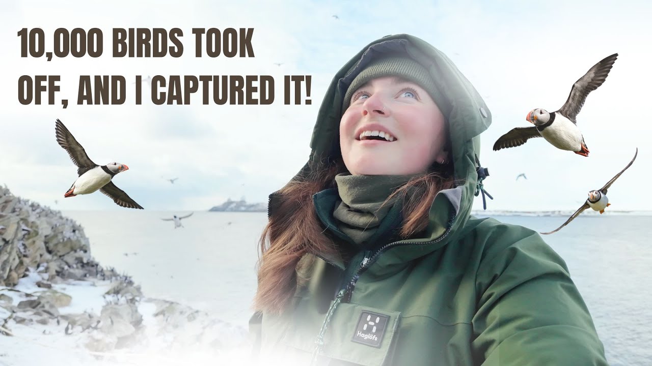 10,000 Birds Took Off at Once… and I Captured It on Hornøya