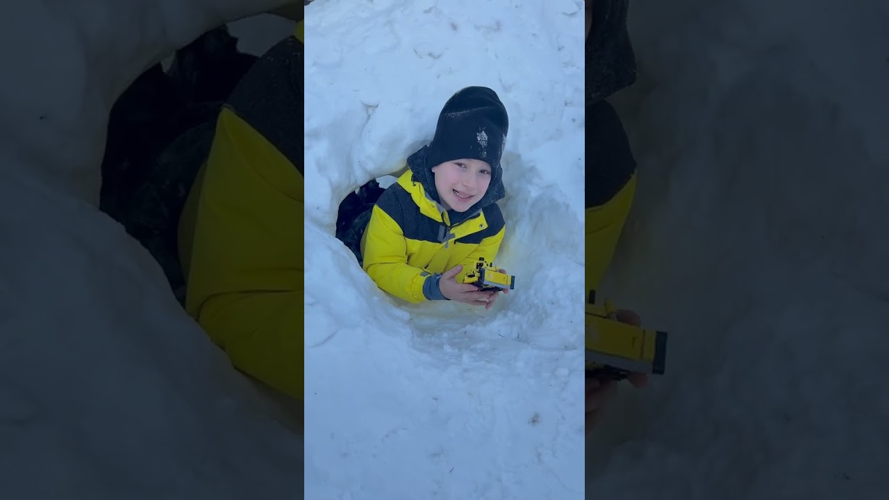 My new LEGO transport in 2026 