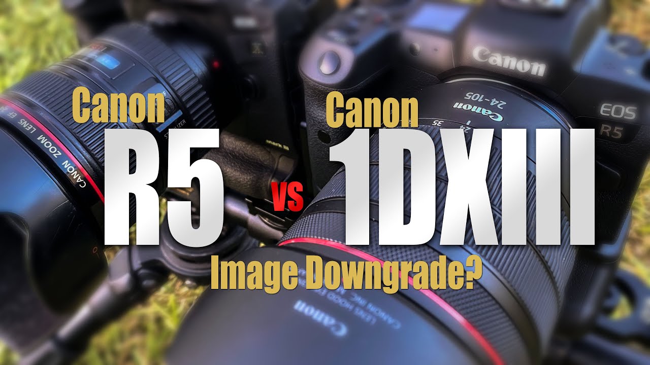 Canon R5 vs Canon 1DXIII - Big Image Downgrade in Normal 4K