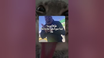 Day 9 posting memes until I hit 1M subs