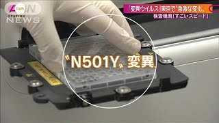 「東京でも半数超がN501Y」変異株判定の最前線(2021年4月18日)