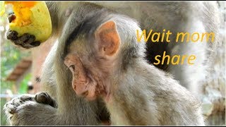 Ugly mom Anna share food for poor baby Alba | she can get only some piece of mango after mom not eat