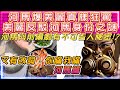 河馬暴露美麗真樣大反擊 | 美麗反駁河馬身份之謎 | 又有改詞 - 你瞞我瞞 (河馬篇) | 美麗爆料河馬與前編劇不可告人的秘密!?