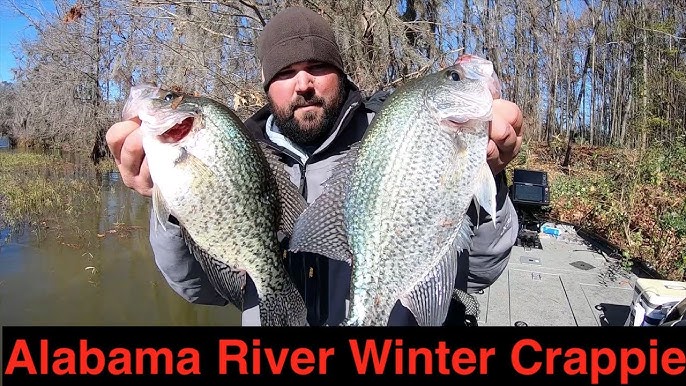 HAVE YOU SEEN CRAPPIE THIS FAT?! Let's Fish #27-2020 SouthWEST Alabama  River Alabama Crappie Fishing 