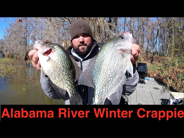 Winter River Crappie Fishing Tips with Todd Huckabee - Wired2Fish