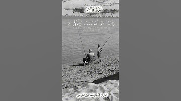 آيات من سورة النجم  #اكسبلور #راحة_نفسية #المصحف