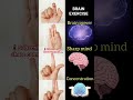 #brain #constipation #sharpmind #mudra #ytshorts #exercise #trending