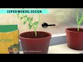 Understanding Controlled Experiments