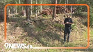 Burn piles in Evergreen are planned