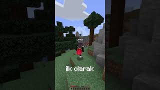 Artık Mod Yüklemeye Gerek Yok | Minecraft Gizemleri Resimi