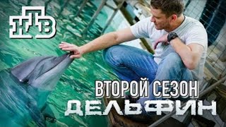 Трейлер сериала "Дельфин 2" [2022]