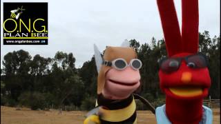 Campaña 27 Octubre  - ONG  Plan Bee -  31 Minutos
