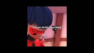 Her Biggest Fear シ