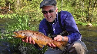 A Golden Trout
