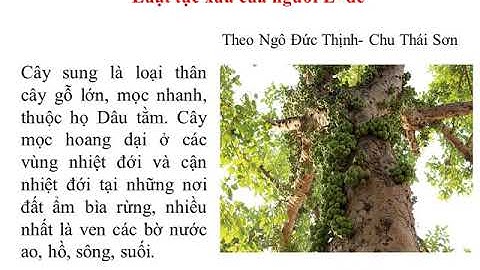 Tập đọc 5: Luật tục xưa của người Ê-đê