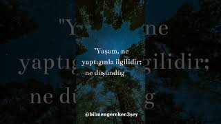Düşünceler Değil, Eylemler Konuşur @bilmengereken3şey #bilim #ilginçbilgiler