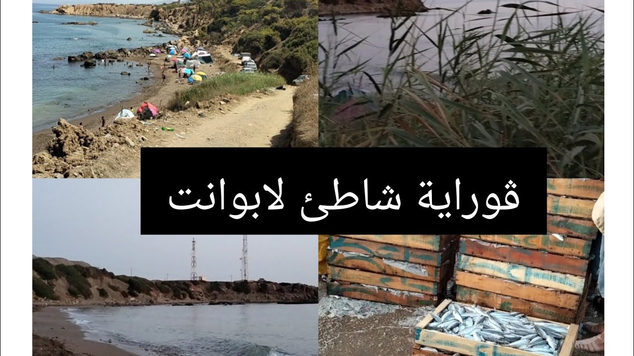 التخيم في ڨوراية شاطئ لابوانت