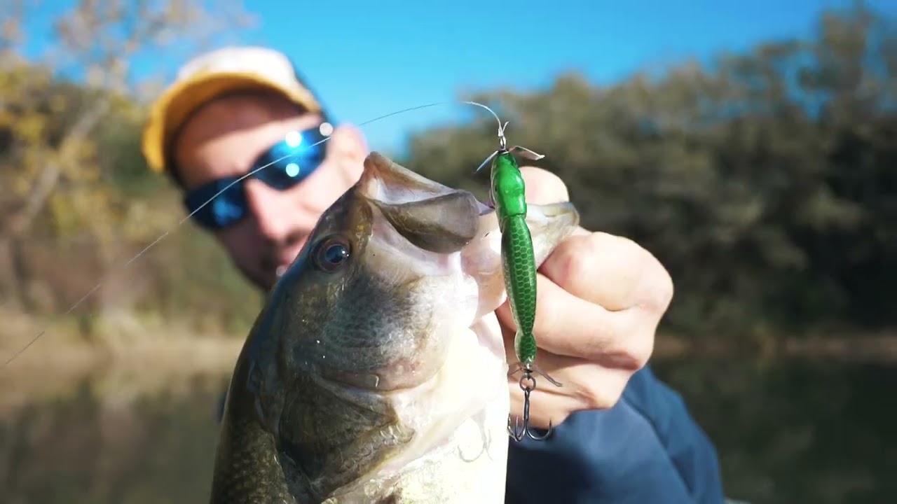 NEW Trago 65 Spyblade! L’innovazione fatta esca