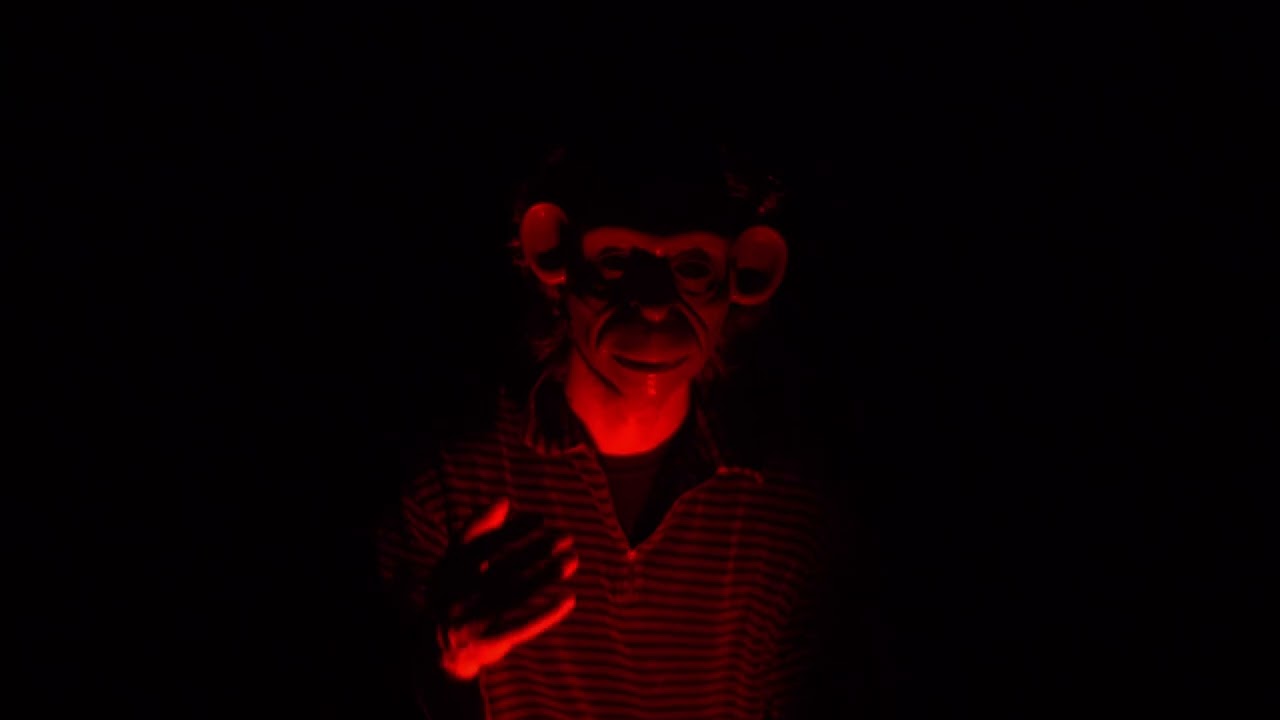 monkeyss- scary music video v1