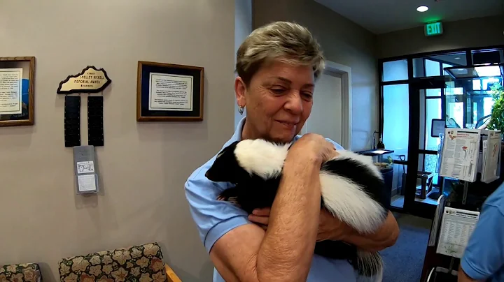 Wolf Creek Fish Hatchery | Trout Fishing | Trout Fishing at Kentucky's Hatchery Creek | Wolf Creek