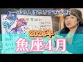 小さなしあわせ、いくつ見つけられるかな？2026年4月 魚座の星詠み