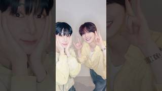 귀여움이 세상을 구한다던데 🐤🐤