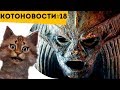 ВСЕ ПРО АМАНЕТ (Фильм Мумия 2017) | И #ФАКТЫ, КОТОРЫЕ ТЫ ОБЯЗАН ЗНАТЬ | Котоновости 18