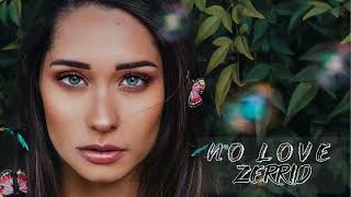 ZERRID - No Love (Original Mix) Resimi