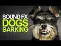 Gambar cover DOGS BARKING | Sound Effects High Quality