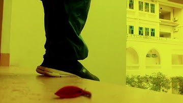 Seminar 1 | Year 2 Block 4 | Teaser