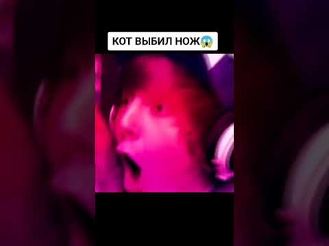 Кот выбил нож 😱😍. Поззи фан😇 #короткоевидео