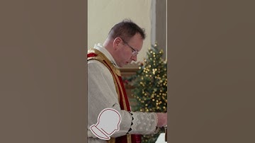 Have You Heard of Latin Mass University?