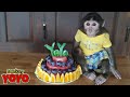 YoYo JR makes fruit birthday cake for YoYo SR