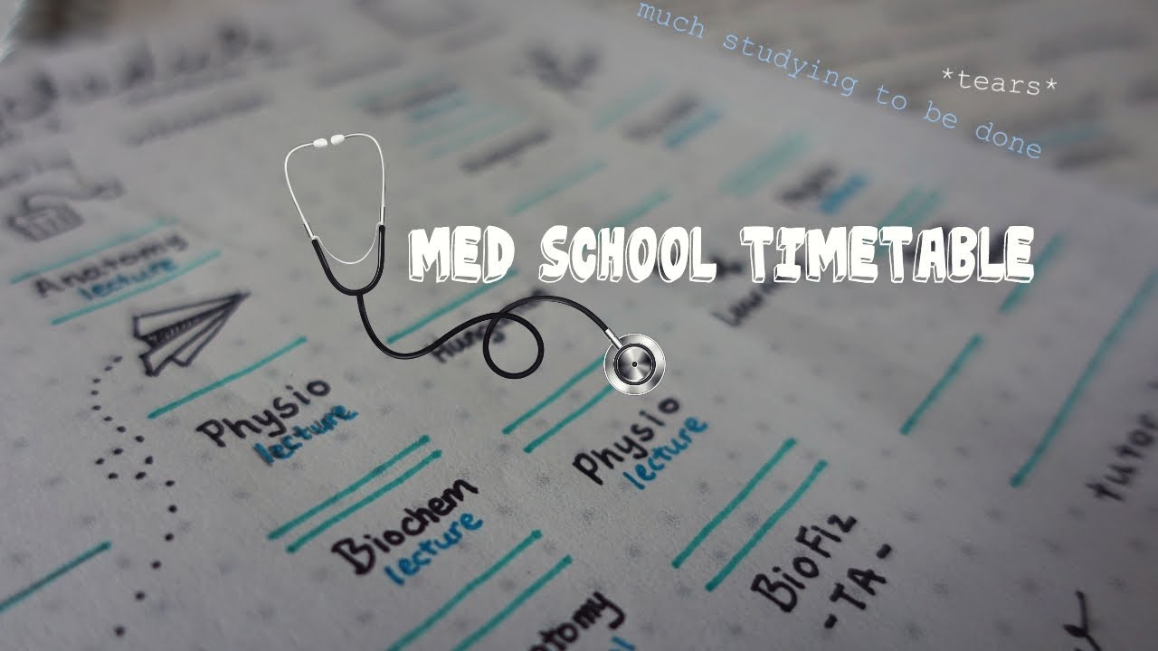 my-med-school-timetable-schedule-semmelweis-2nd-year-youtube