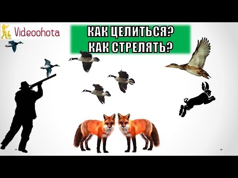 Видео: Что способствует поглощению меткой стрельбы?