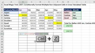 Excel Magic Trick 1307: Conditionally Format Multiple Non-Adjacent Cells in Cross Tabulated Table Net Worth