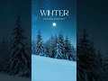 Winter - AShamaluevMusic (Inspirational Cinematic Music)