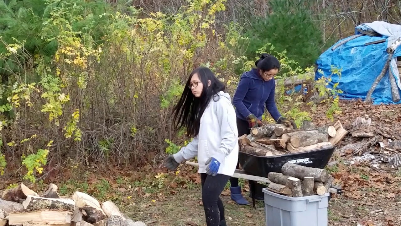 Mother and Daughter Filipina Expats Stack Firewood in Precision Fashion