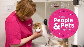 Keep People and Pets Together | Winter Appeal 2023 by PDSA 585 views 7 months ago 1 minute, 15 seconds
