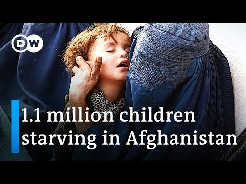 What's Taliban's role in Afghanistan's worsening food crisis? | DW News