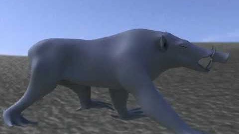 3ds max CAT animation.avi