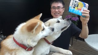 わんこの冷やし中華はじめました！
