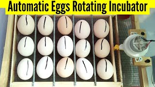 How To Make Fully Automatic Egg Incubator || Bucket Egg Incubator and 100% hatch little chickens
