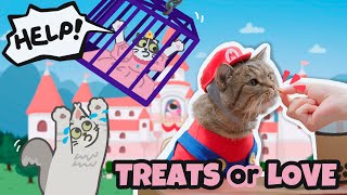 Treats or Love | Super Mario Cat Bros